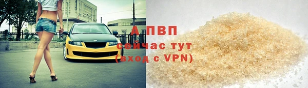 гашик Гусиноозёрск