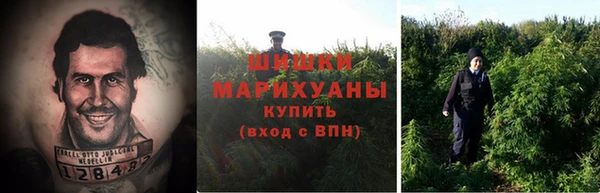гашик Гусиноозёрск