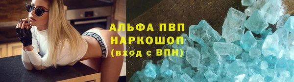гашик Гусиноозёрск