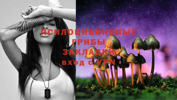 дурь Гусь-Хрустальный