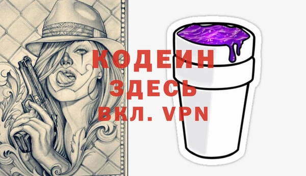 гашик Гусиноозёрск