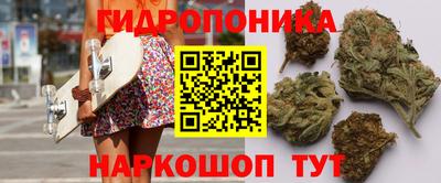 сатива Тара