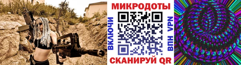 Галлюциногенные грибы Psilocybe  Волоколамск 