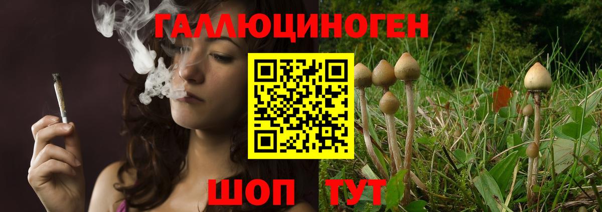 Волоколамск  Псилоцибиновые грибы MAGIC MUSHROOMS  Псилоцибиновые грибы мухоморы  Вход с VPN 